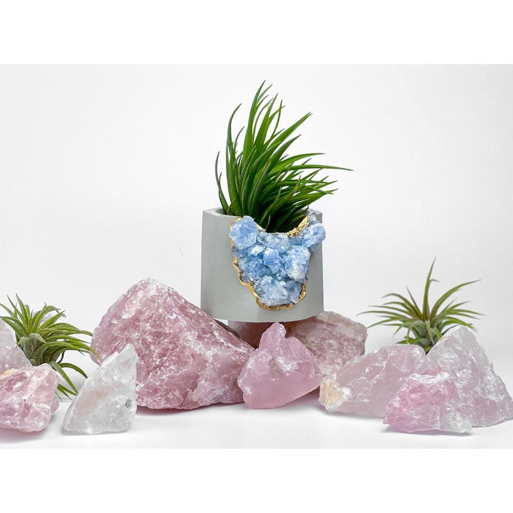 Succulent Crystal Planter | Geode Planter | Raw Blue Calcite - Picture 8 of 9
